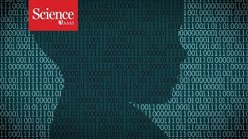 How researchers are teaching AI to learn like a child