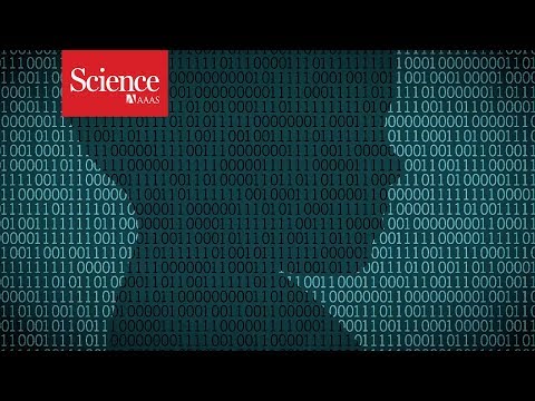 Video: Researchers Have 