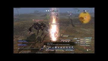 Final Fantasy XIV 1.0 - Notorious Monsters: Nest Commander the Army Ant  (Pre-ARR)