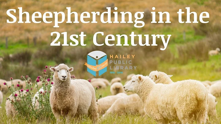 Sheepherding in the 21st Century. Brian/Kathleen B...