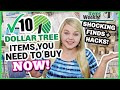 10 DOLLAR TREE Secret Treasures you NEED! | SHOCKING DOLLAR TREE FINDS + HACKS | KraftsbyKatelyn