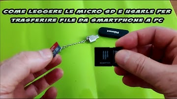 Come leggere le SD o Memory Card e le micro SD e usarle per trasferire file da smartphone a computer