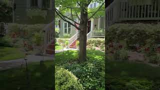 Download Lagu Walking in an American neighborhood MP3 Download Lagu Walking in an American neighborhood MP3