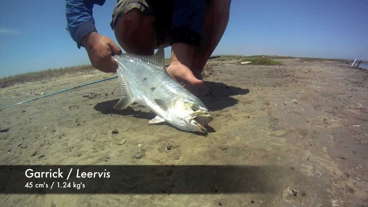 Kzn Fishing Tide Chart