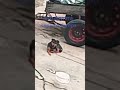 ето другата черна пантера