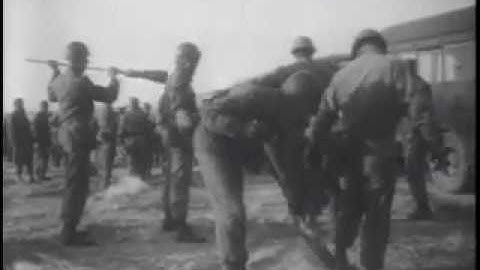 Revolting Robots | Survival Is Possible (2019)