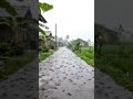 Rainy Day in the Countryside | Relaxing ASMR