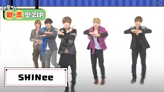 샤이니 (SHINee) 랜덤 플레이 댄스 l #랜플댄원조맛ZIP l RandomPlayDance