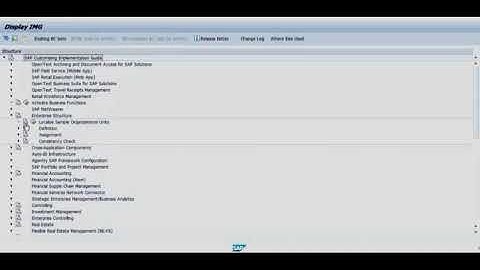 HOW TO DEFINE VALUATION LEVEL in SAP MM