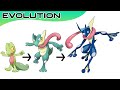 Pokémon Evolutions You Didn't Know #8 | Max S