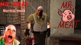 Mr. Meatsaving Amelianormal Mode