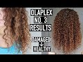 Olaplex No. 3 Before & After Results - How to Use Olaplex to Repair Damaged Curly Hair