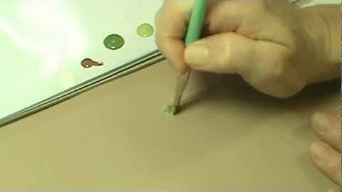 Creating Pine Branches with Flat Brush