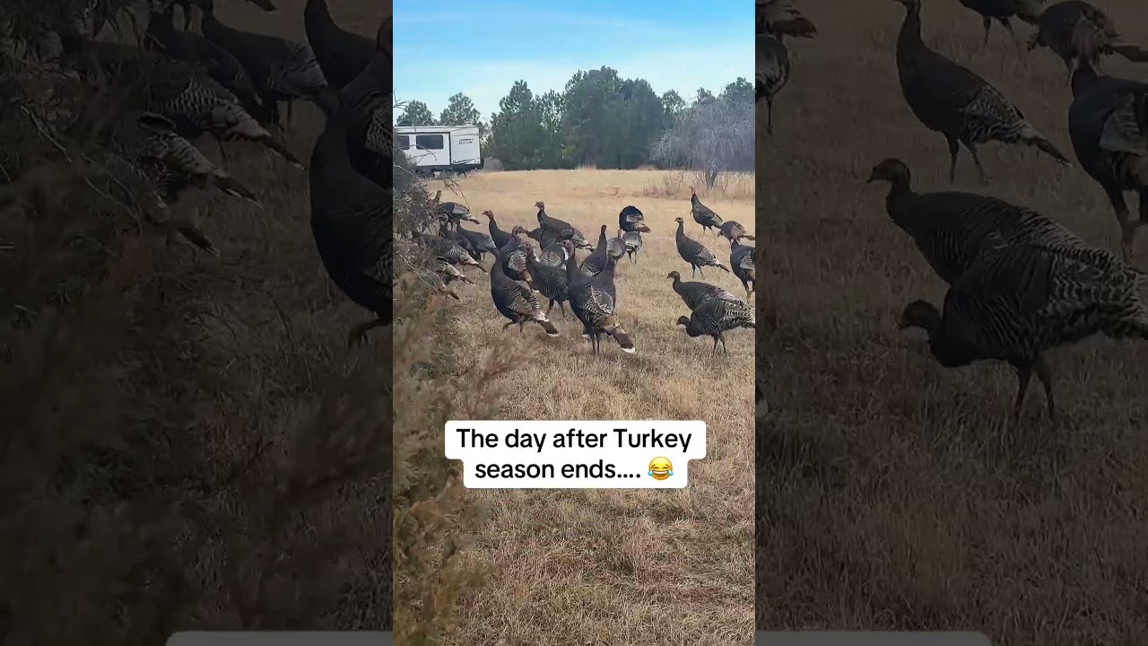 It’s funny cause it’s true..😂