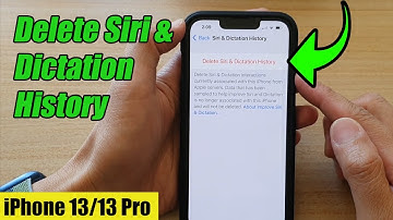 iPhone 13/13 Pro: How to Delete Siri & Dictation History
