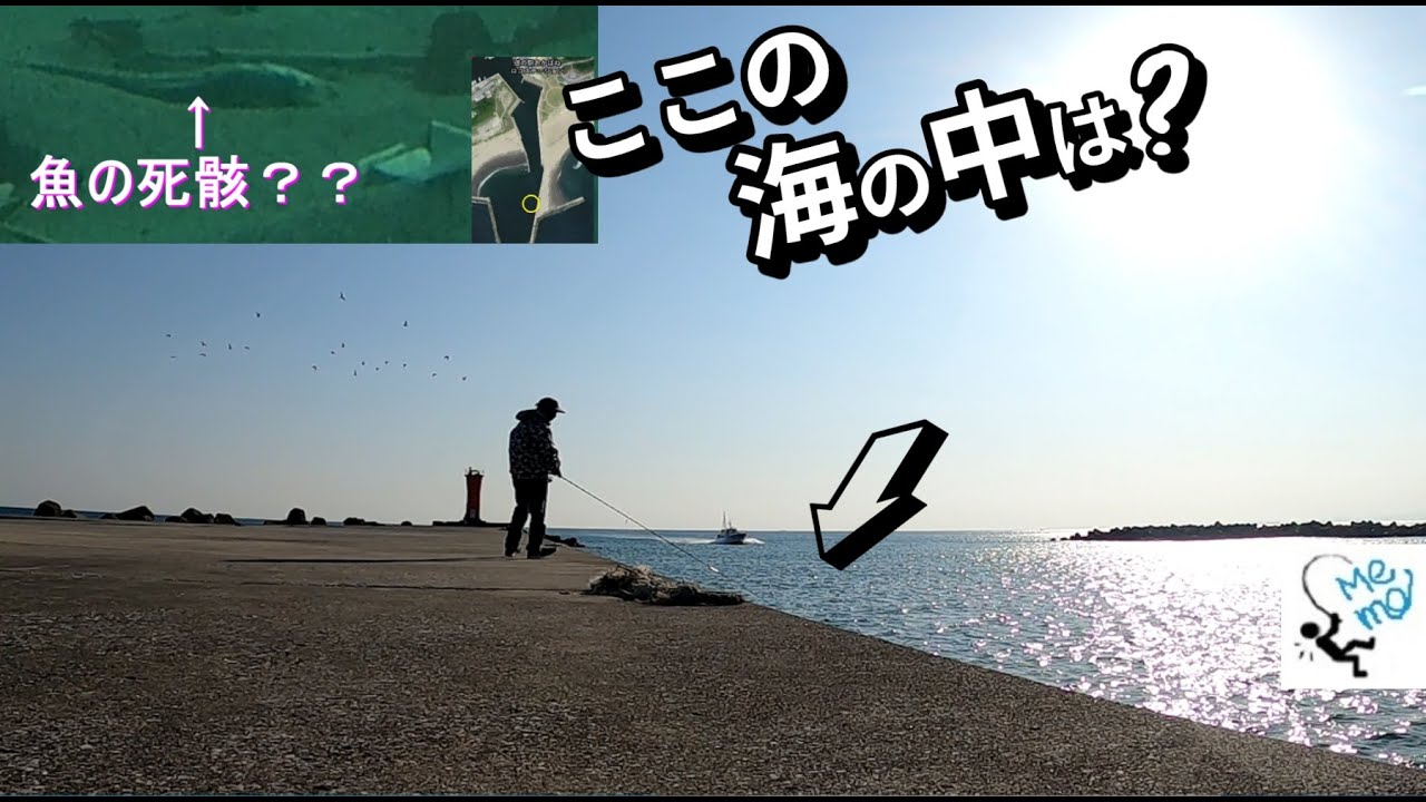 🐟赤羽根漁港を攻める❗サビキ調査、でも、水中カメラの映像は...【釣行日2023/2/17(金)】