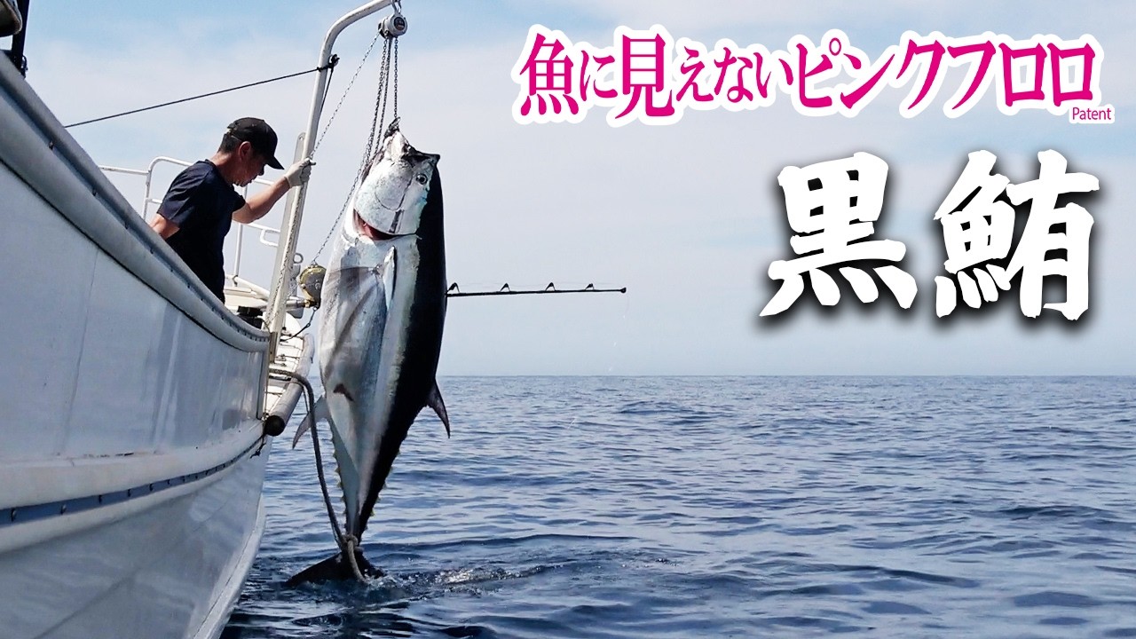 魚に見えないピンクフロロ | 株式会社デュエル
