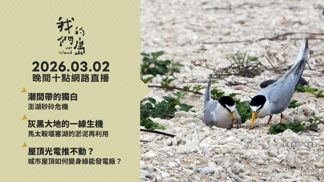 直播放映室【週一晚間十點🔴LIVE】2026.03.02 公視我們的島第1347集 播出