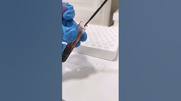 old blood under the microscope #laboratory #microscope #bloodcells #blood #microscope #mls #cls