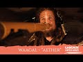 Waagal  aether  lascaux sessions  percussive fingerstyle guitar didgeridoo kashaka live looping