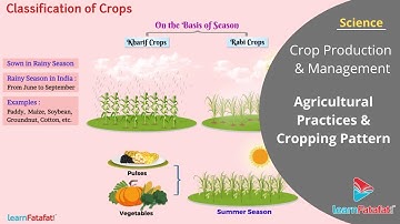 Crop Production and Management Class 8 Science - Agricultural Practices and Cropping Pattern