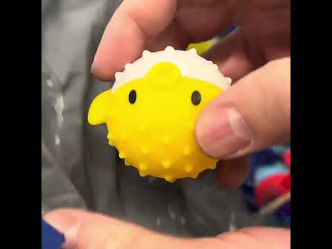 Yellow White Puffer Fish Unwrapped!