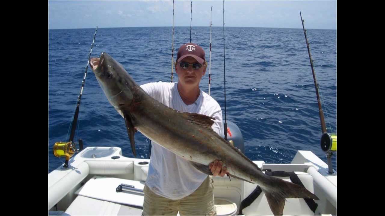 Snapper Slapper Lures in Action from Customer Photos 