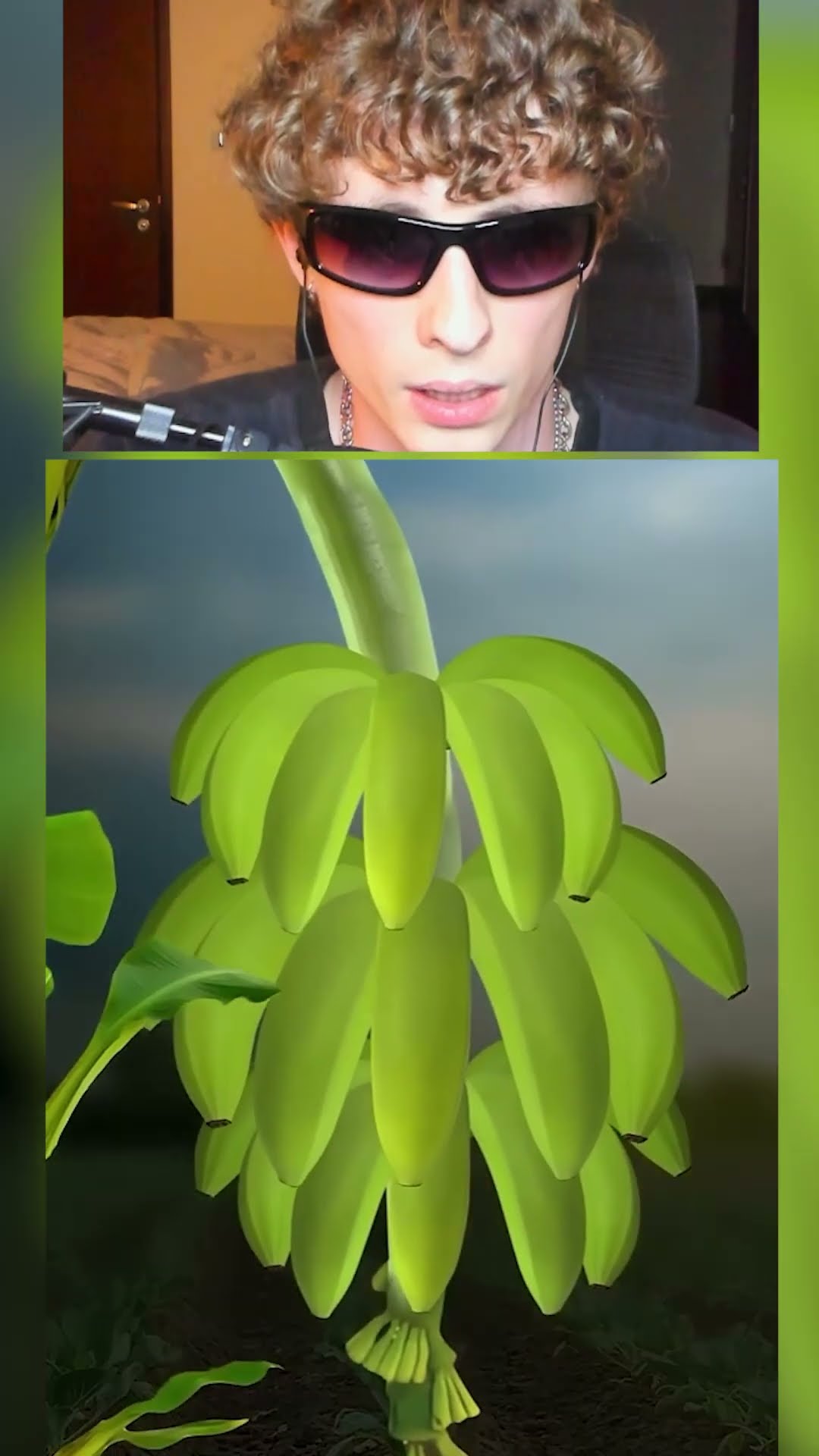 Por qué las BANANAS son CURVAS❓?