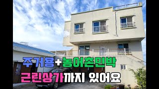제주부동산-주거용+농어촌민박+근린생활시설까지 다 드립니다.