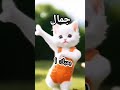 اغنيه باسم جمال  اكسبلور تصميم فيديوهات