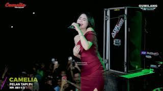 CAMELIA MUSIC - LDR - SALMA NOVITA - KHITAN IQBAL - BATUKALI KALINYAMATAN JEPARA