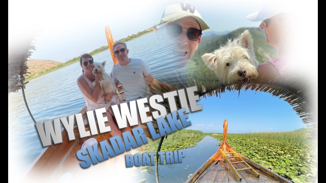 SKADAR LAKE BOAT TRIP MONTENEGRO : LARGEST LAKE IN THE BALKANS WITH WESTIE DOG WYLIE