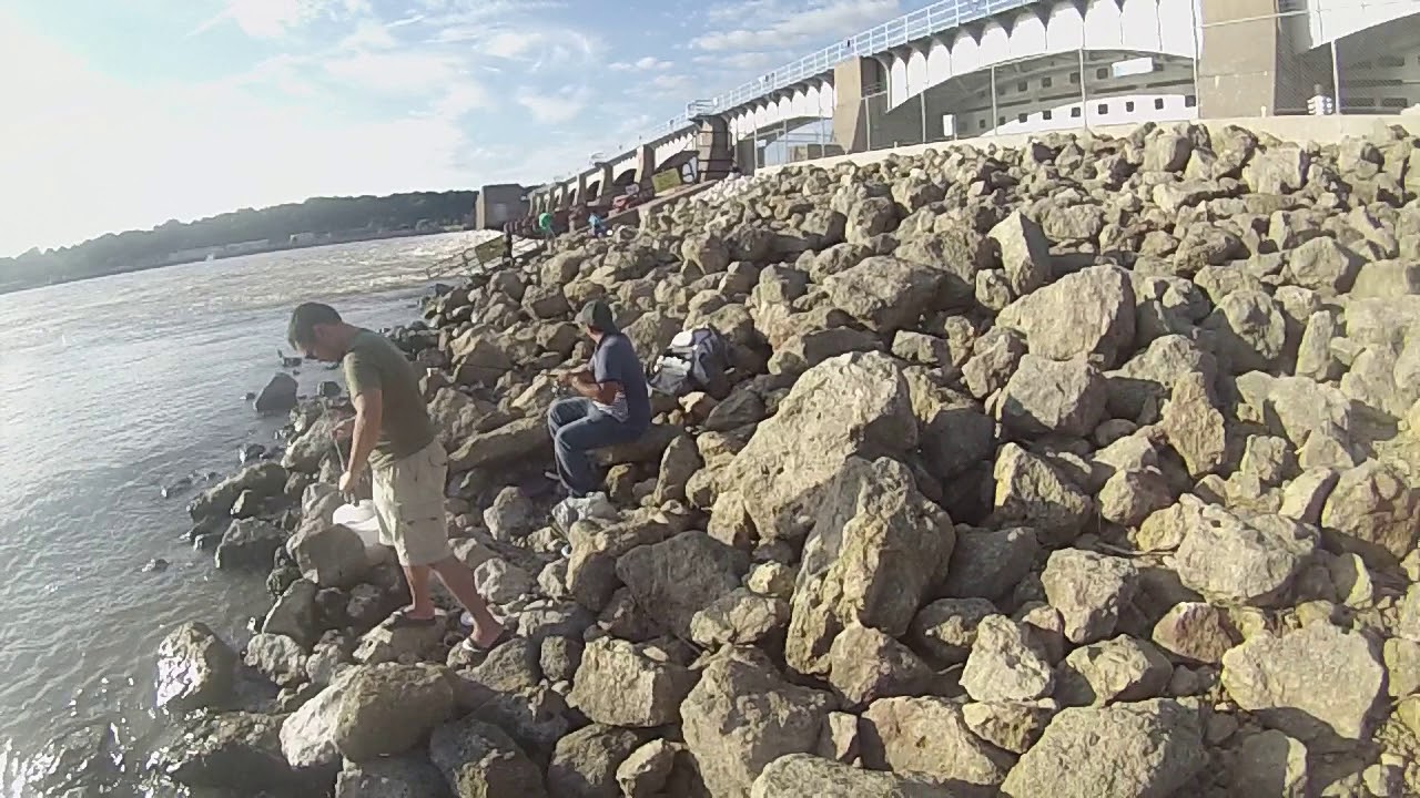 Fishing with Donald at Moline, IL Dam YouTube