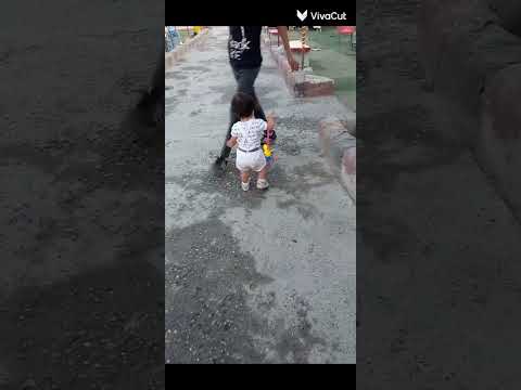 كبرت الكيوت