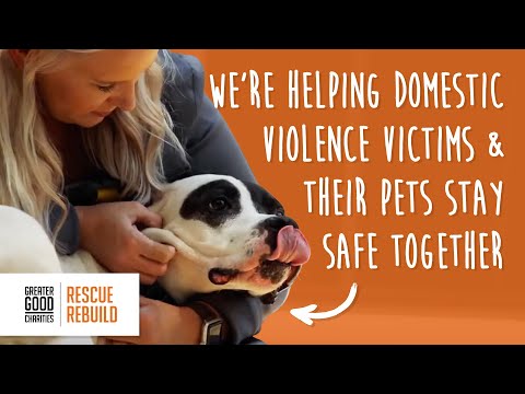 Video: Rescue Rebuild obnavlja zavetišča za ženske v družinskem nasilju in sprejema družinske živali