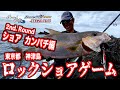 ショアガン×ロックショアゲーム2 カンパチ編