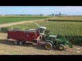 FIRST Corn Silage Video of the 2020
