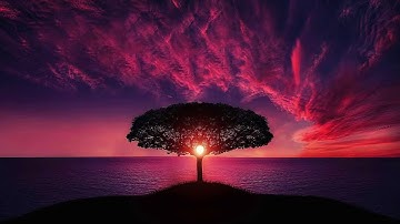 ايات من الذكر الحكيم بصوت القارئ محمد دبش