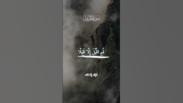 يا أيها المزمل | تلاوة رائعة بصوت شعبان الصياد#قرآن #Quran #صلوا #قوالب #القرآن
