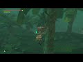 Catching an Energetic Rhino Beetle mid-flight | Breath of the Wild