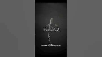 هو الله الذي لا إله إلا هو 🎧💚 @لا اله الا الله @سورة الحشر @قرآن @quran @ق HD