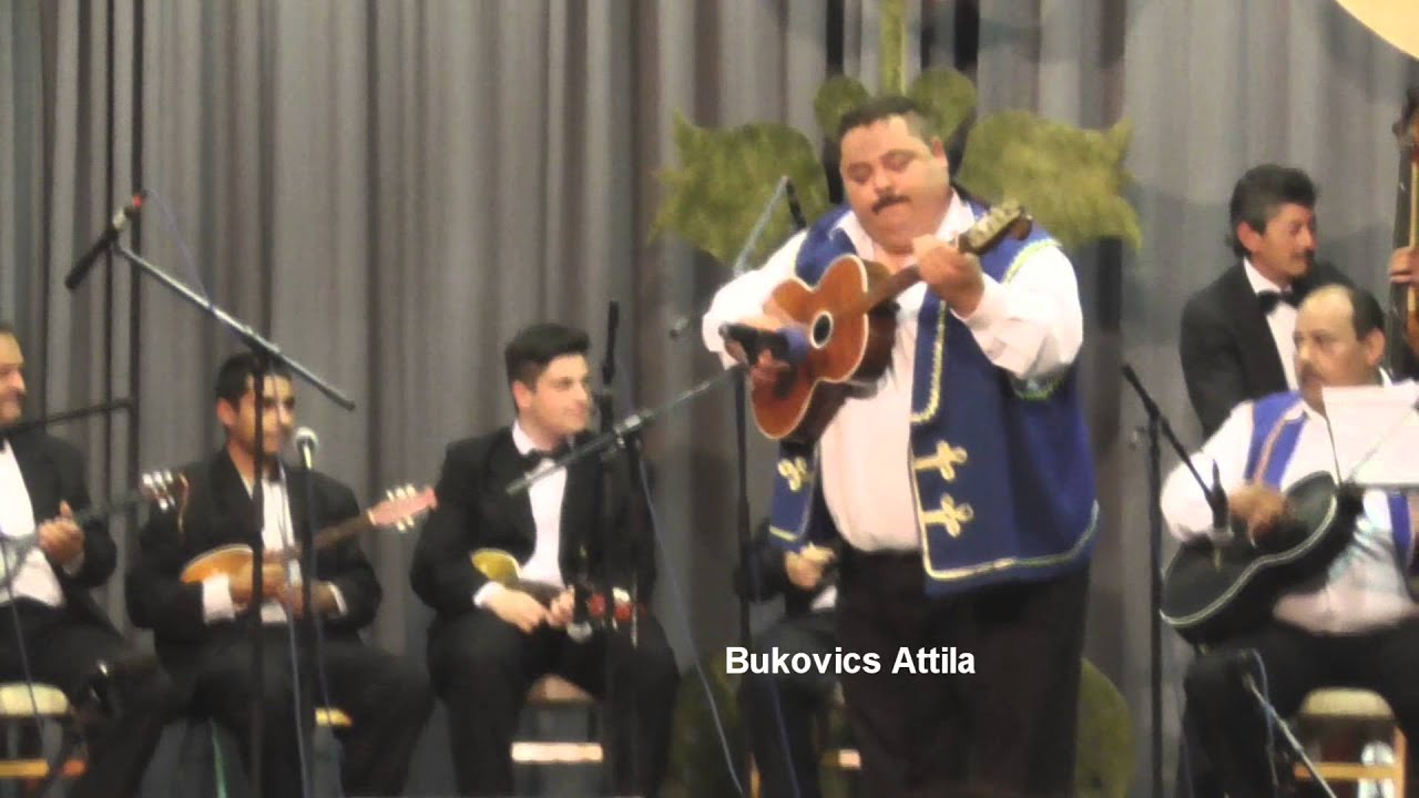 2015.06.25. Mohács - IX. Tambura Fesztivál (9  rész 2/2)