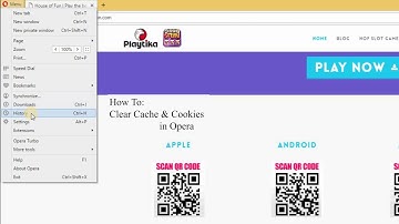 How to Clear Cache & Cookies in Opera