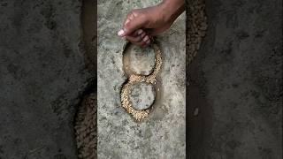 8 Number Growing Grass With Wheat Seeds। Letter Growing Grass With Seeds।☘️☘️ #shorts