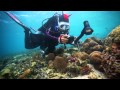 SeaLife Underwater Cameras | Diving Indonesia with SeaLife Underwater Cameras, Lights and Lenses