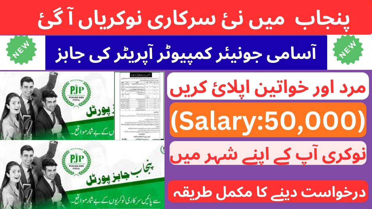 Junior Computer Operator (170+) Jobs in PITB | How to online apply | Salary, test etc | Full Guide |