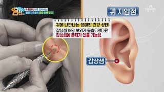 인체의 축소판 '귀', 귀를 통해 건강 이상 신호를 확인하는 방법은? | 나는 몸신이다 349 회