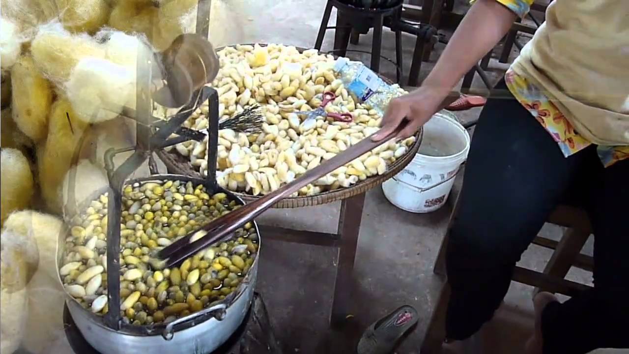 Fabrication du fil de soie