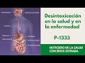 P-1333 Desintoxicación en la salud y en la enfermedad