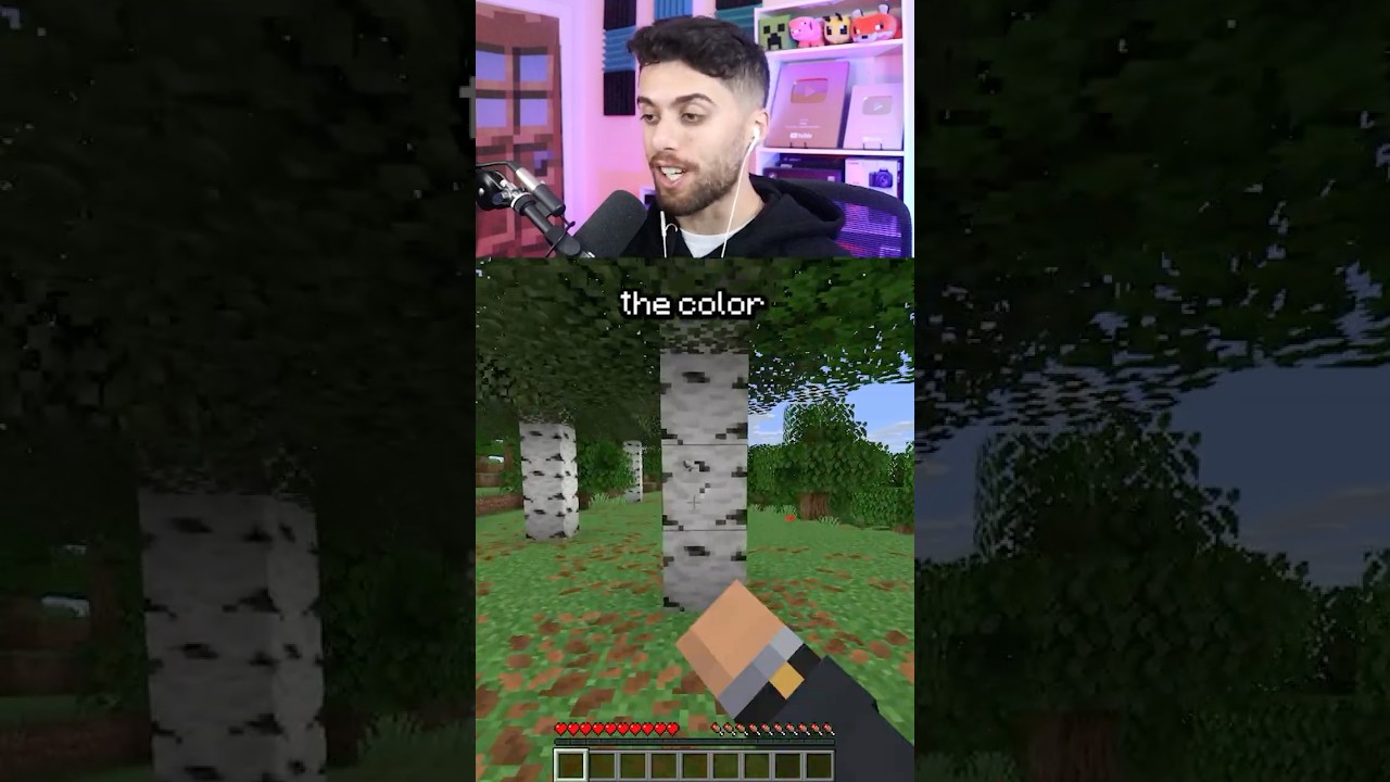 minecraft but i cant touch gray